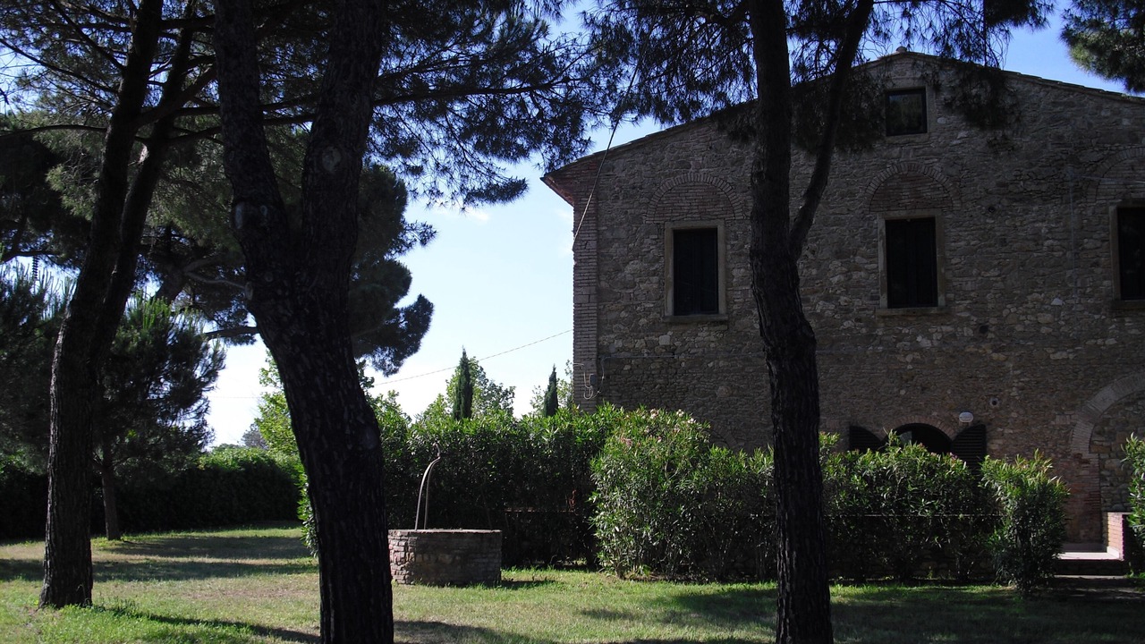 Photo of Outdoor in Bibbona