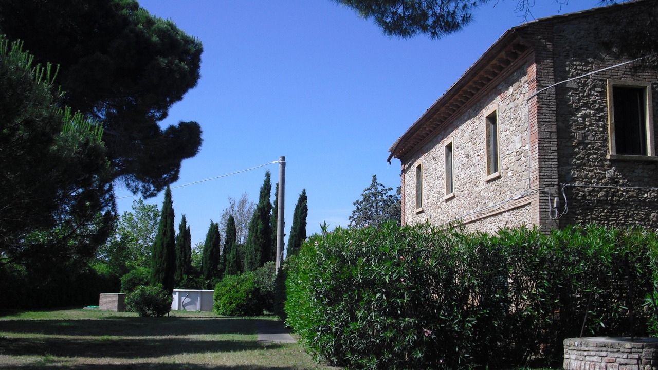 Photo of Outdoor in Bibbona