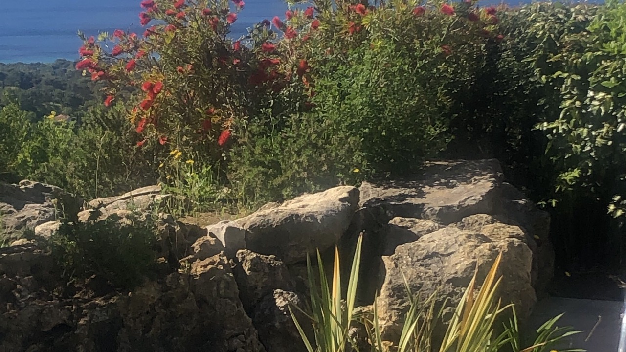 Photo of Others in La Croix-Valmer