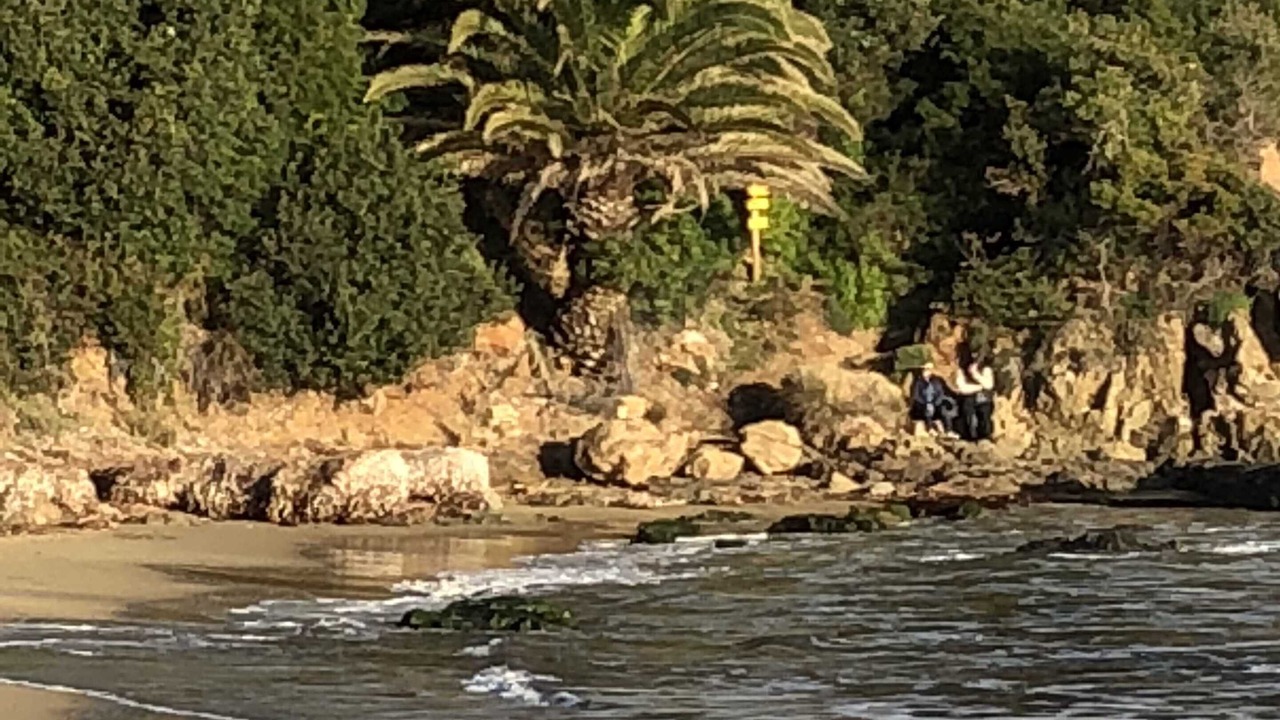 Photo of Others in La Croix-Valmer