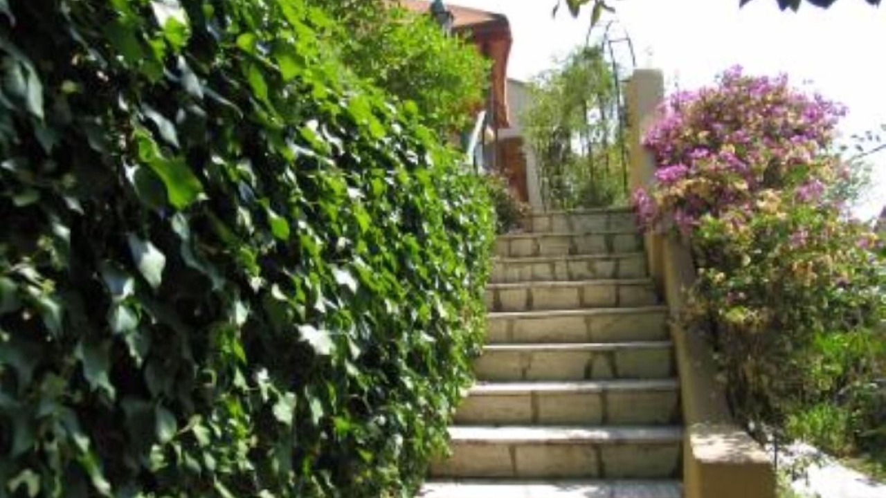 Photo of Outdoor in Roquebrune-Cap-Martin
