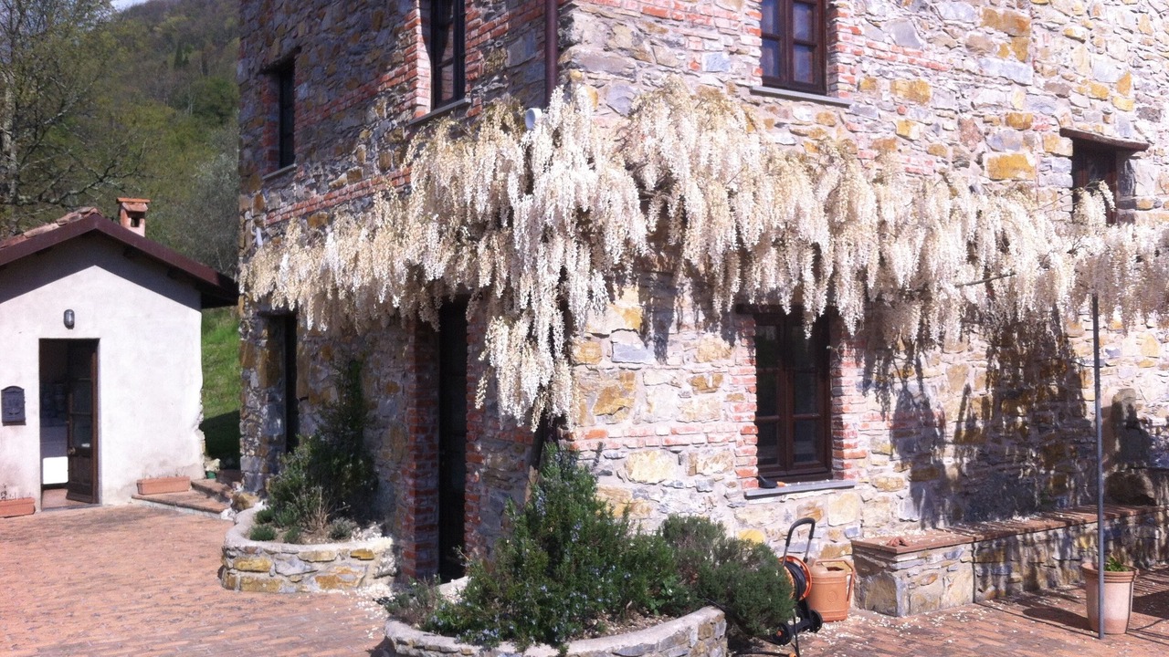 Photo of Outdoor in Tresana