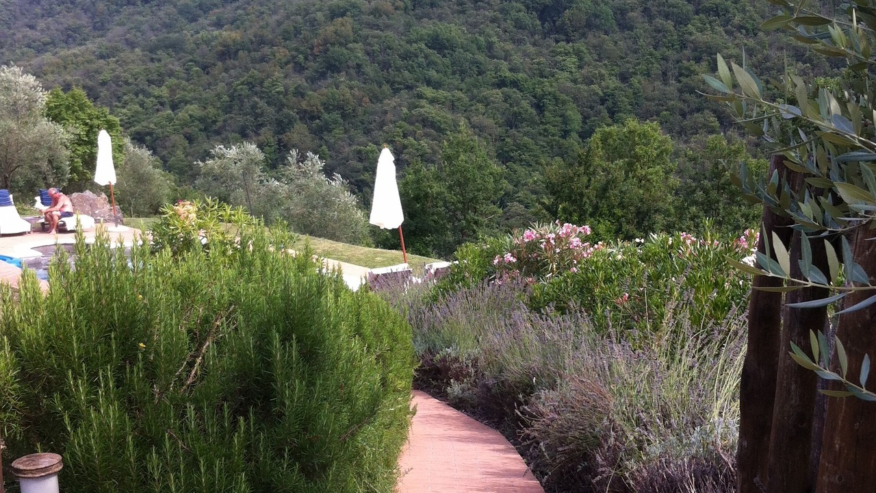 Photo of Outdoor in Tresana