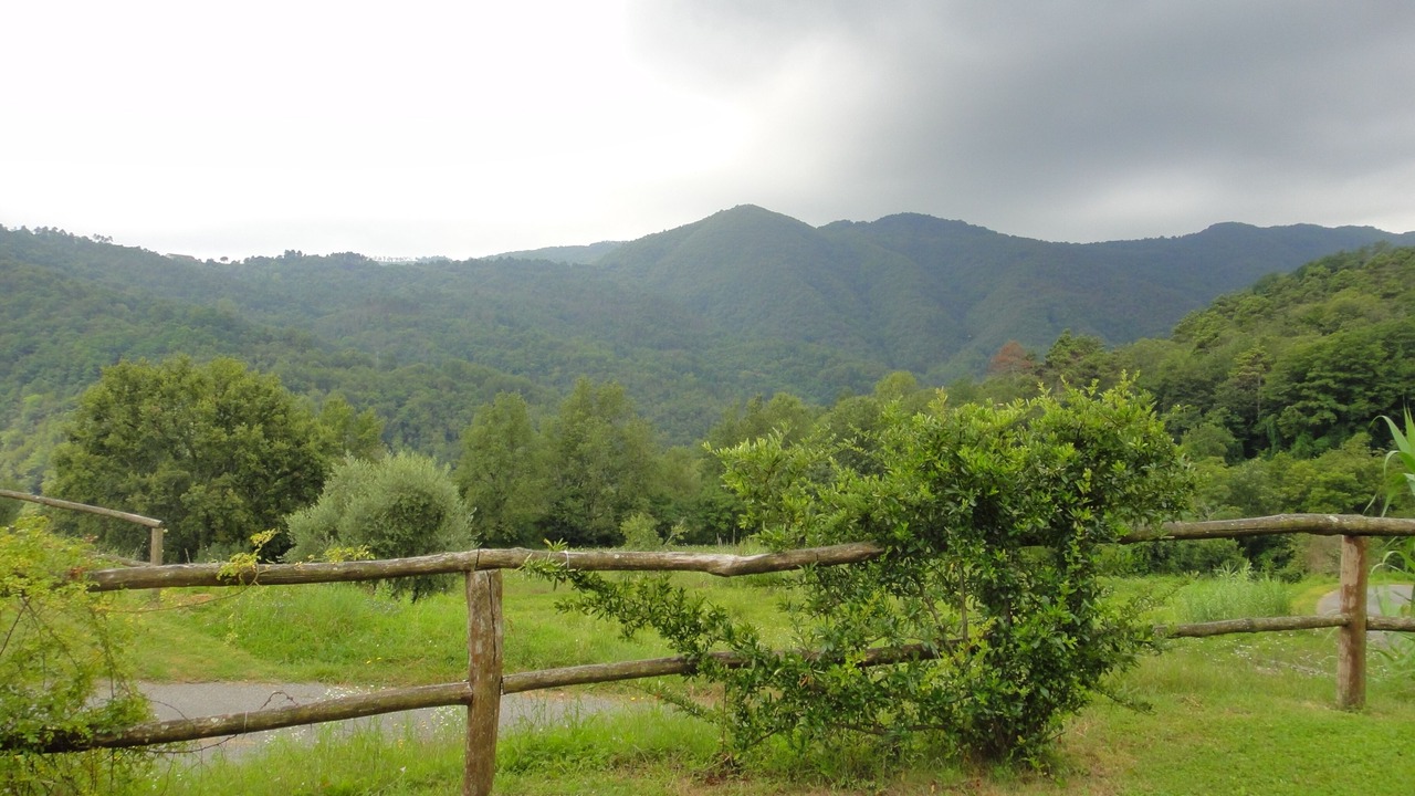 Photo of Outdoor in Tresana