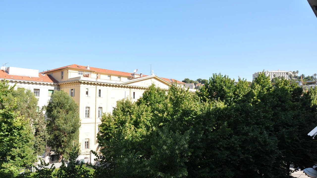 Photo of Others in Carabacel