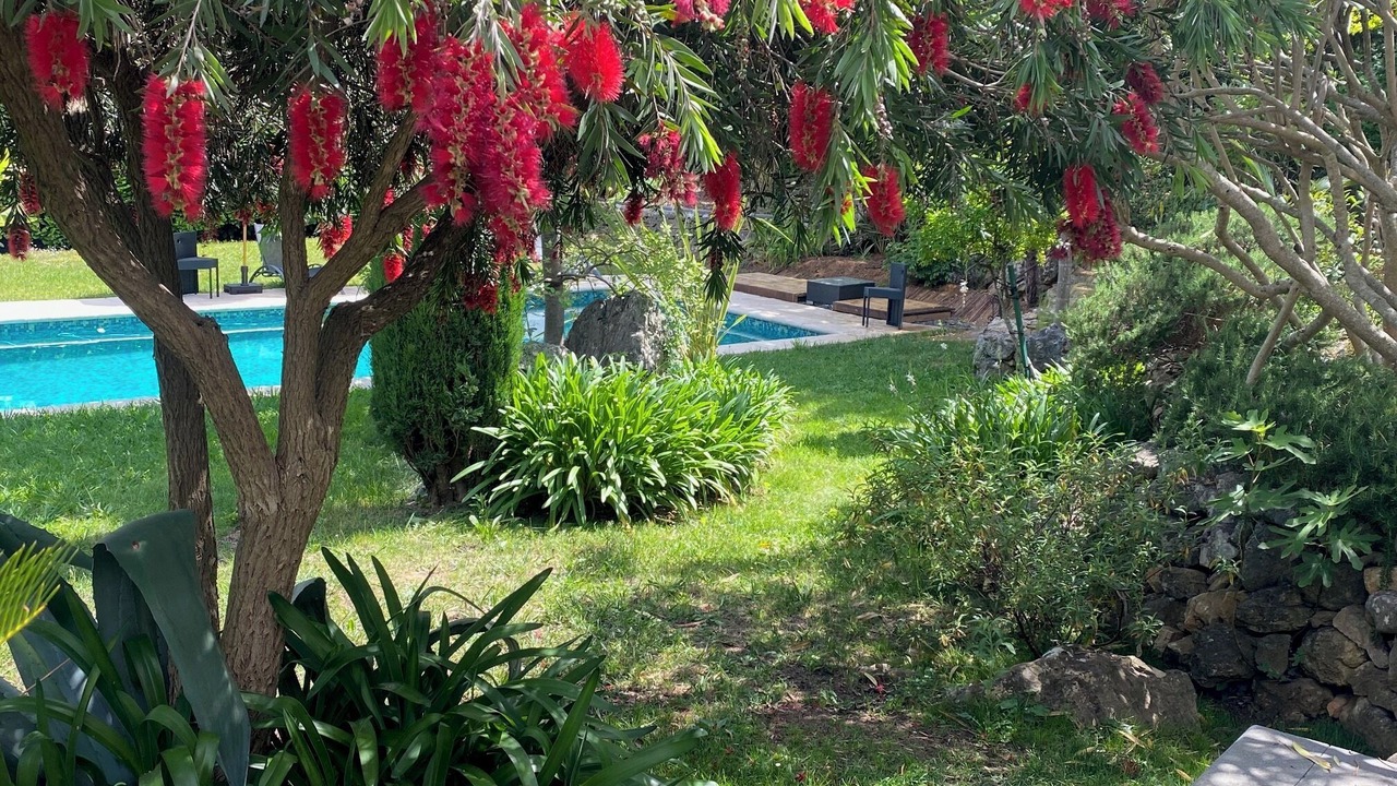 Photo of Outdoor in Roquefort-les-Pins