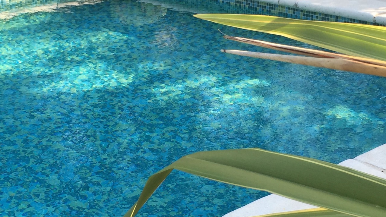Photo of Outdoor in Roquefort-les-Pins