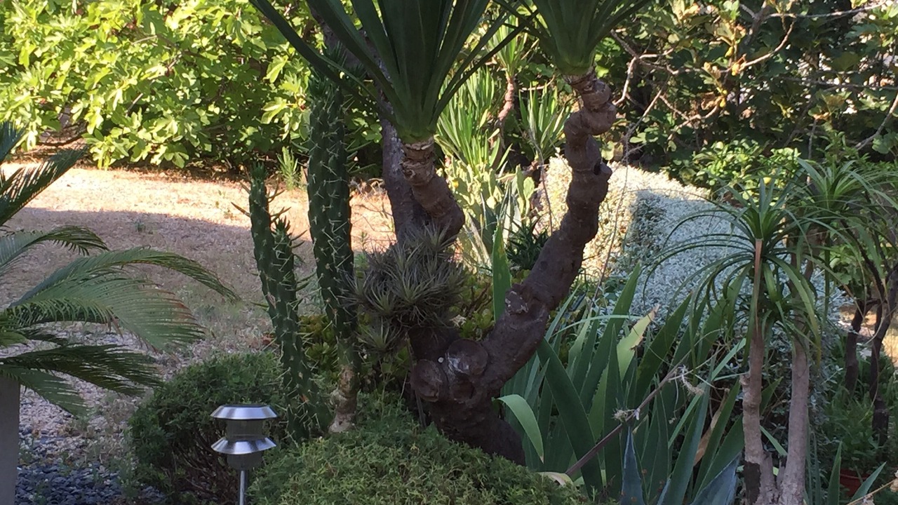 Photo of Outdoor in Roquefort-les-Pins