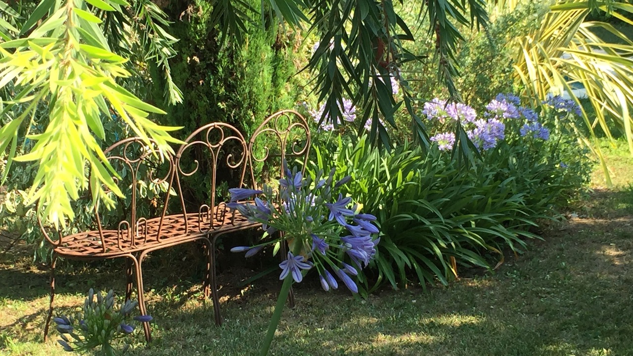 Photo of Outdoor in Roquefort-les-Pins