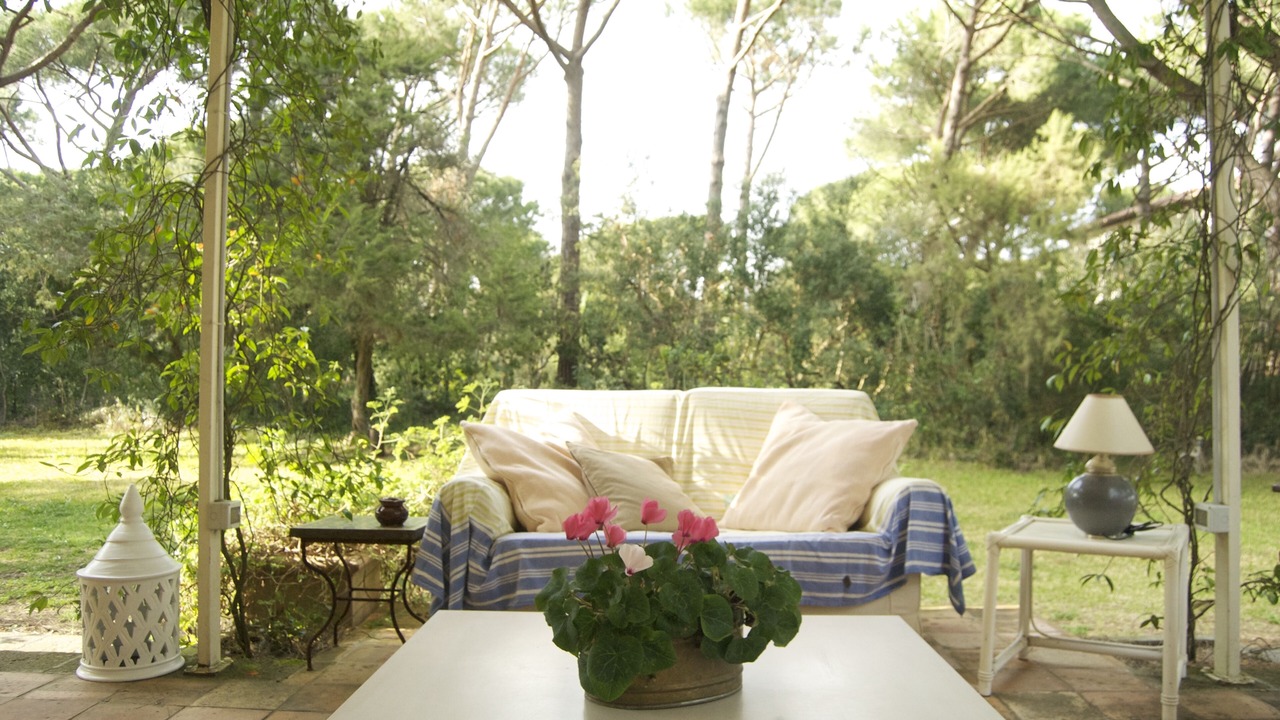 Photo of Patio Balcony in Marina di Bibbona