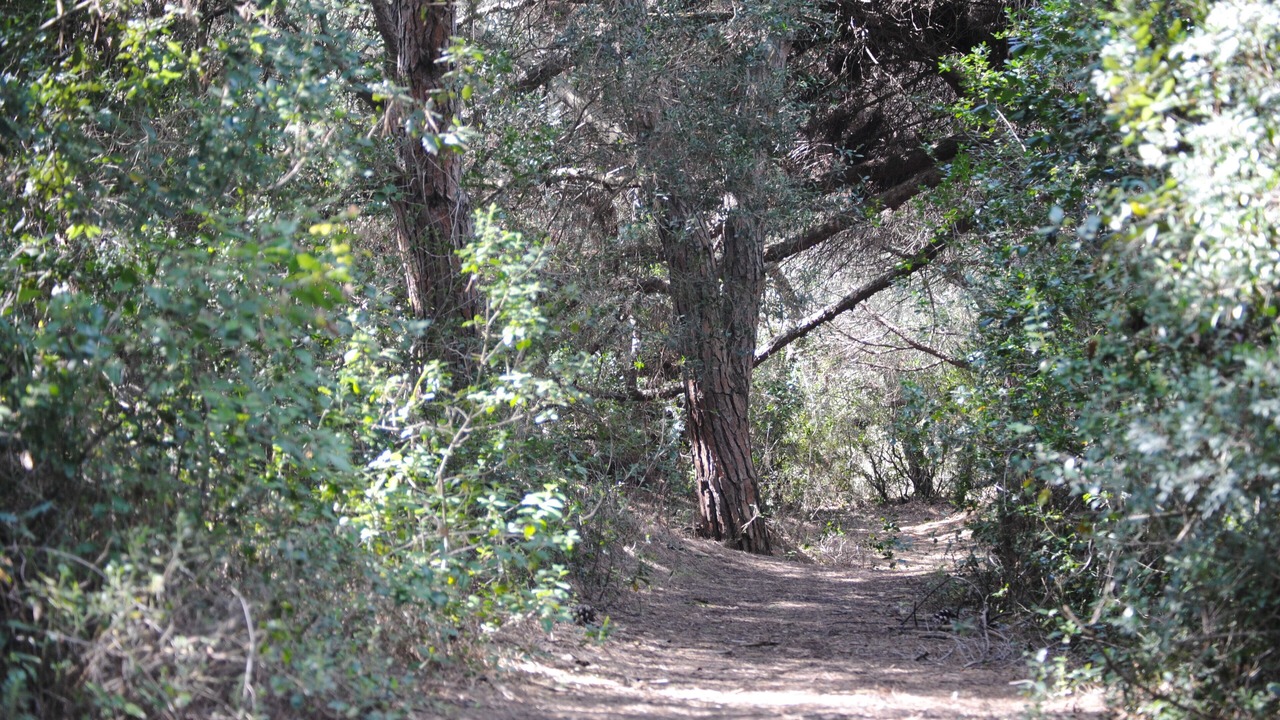 Photo of Outdoor in Marina di Bibbona