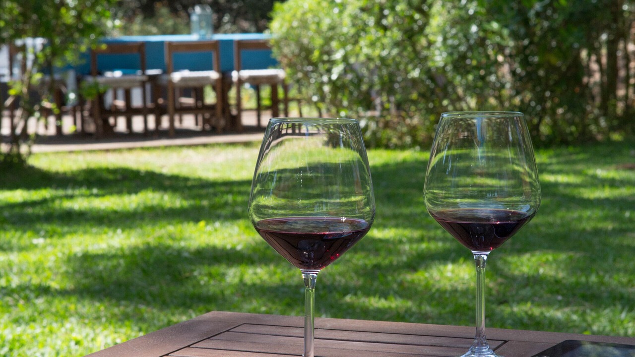 Photo of Outdoor in Marina di Bibbona