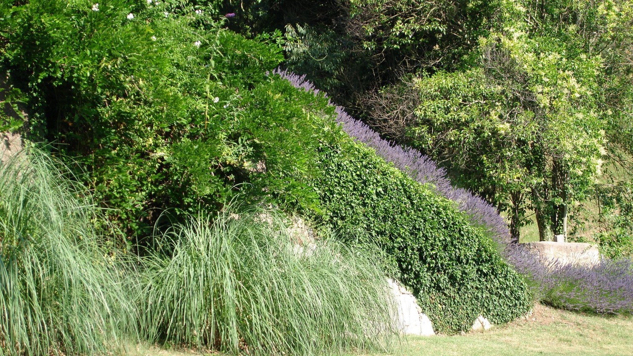 Photo of Outdoor in La Garde-Freinet