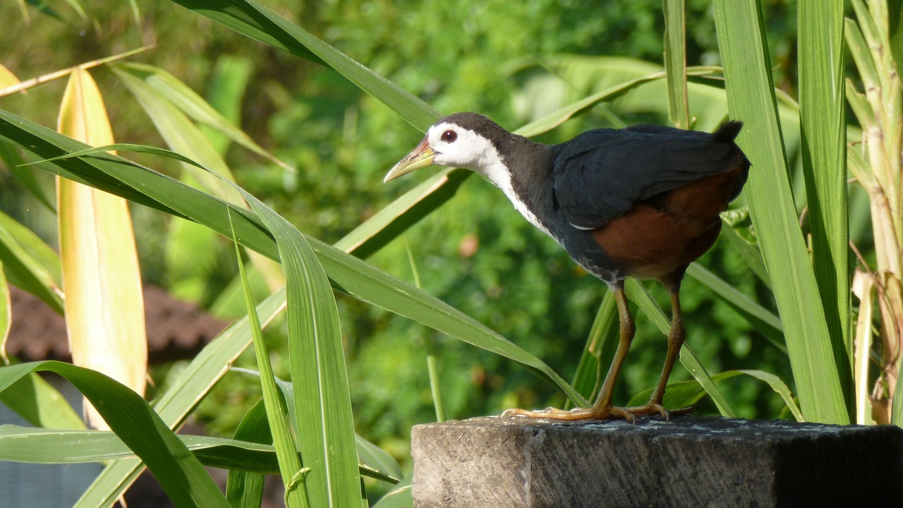 Photo of Others in Penestanan