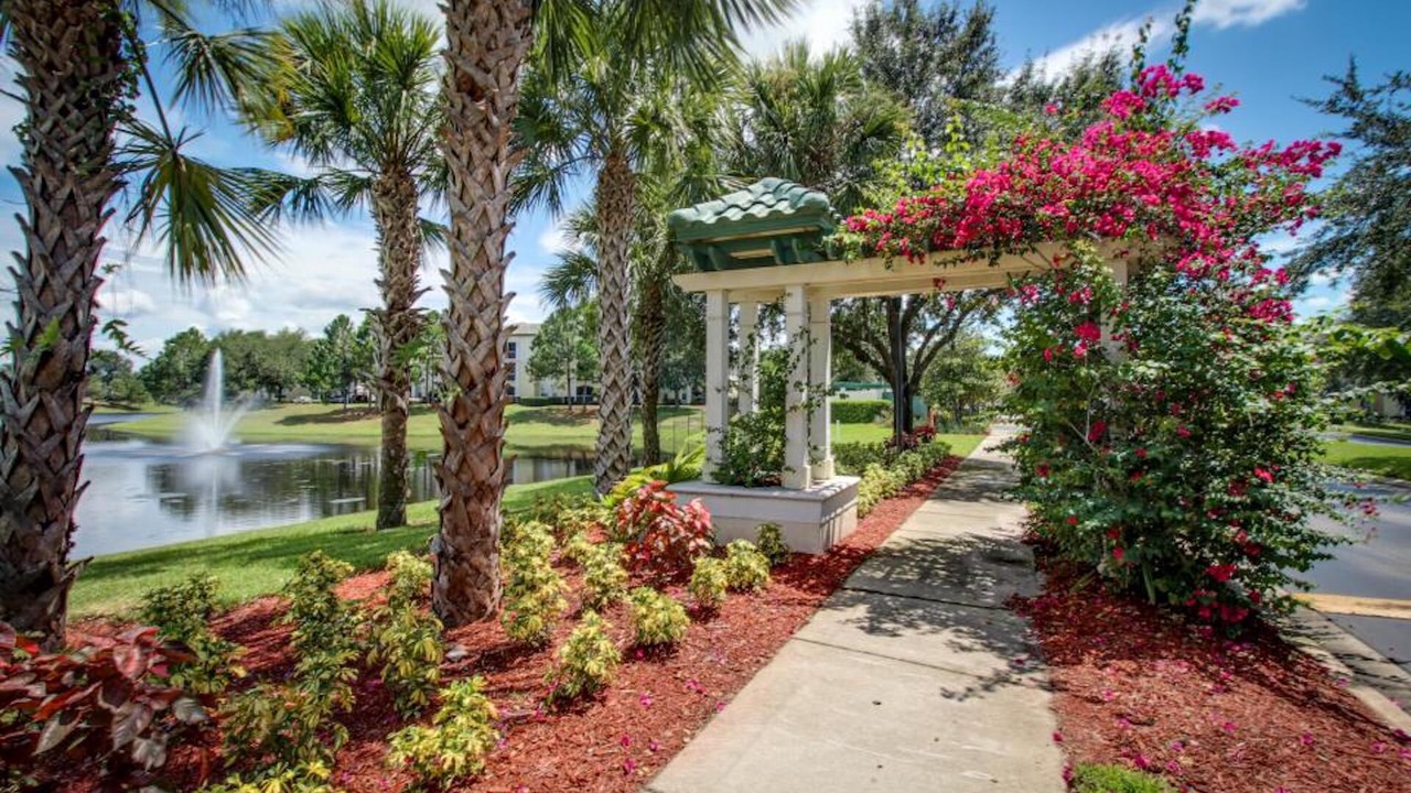 Photo of Outdoor in West Kissimmee