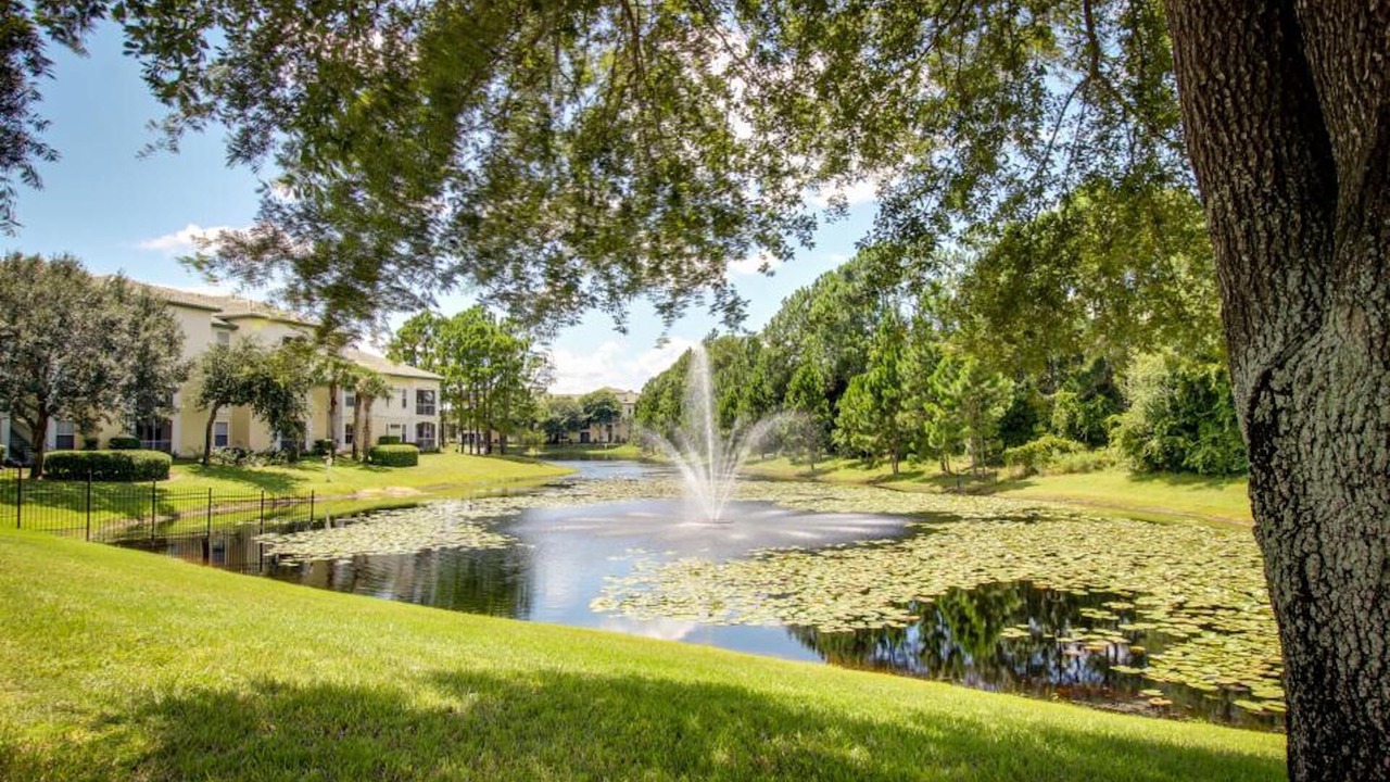 Photo of Outdoor in West Kissimmee
