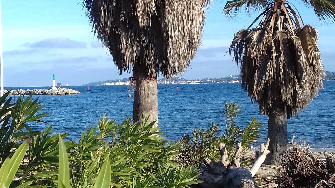 Photo of Outdoor in Port Cogolin