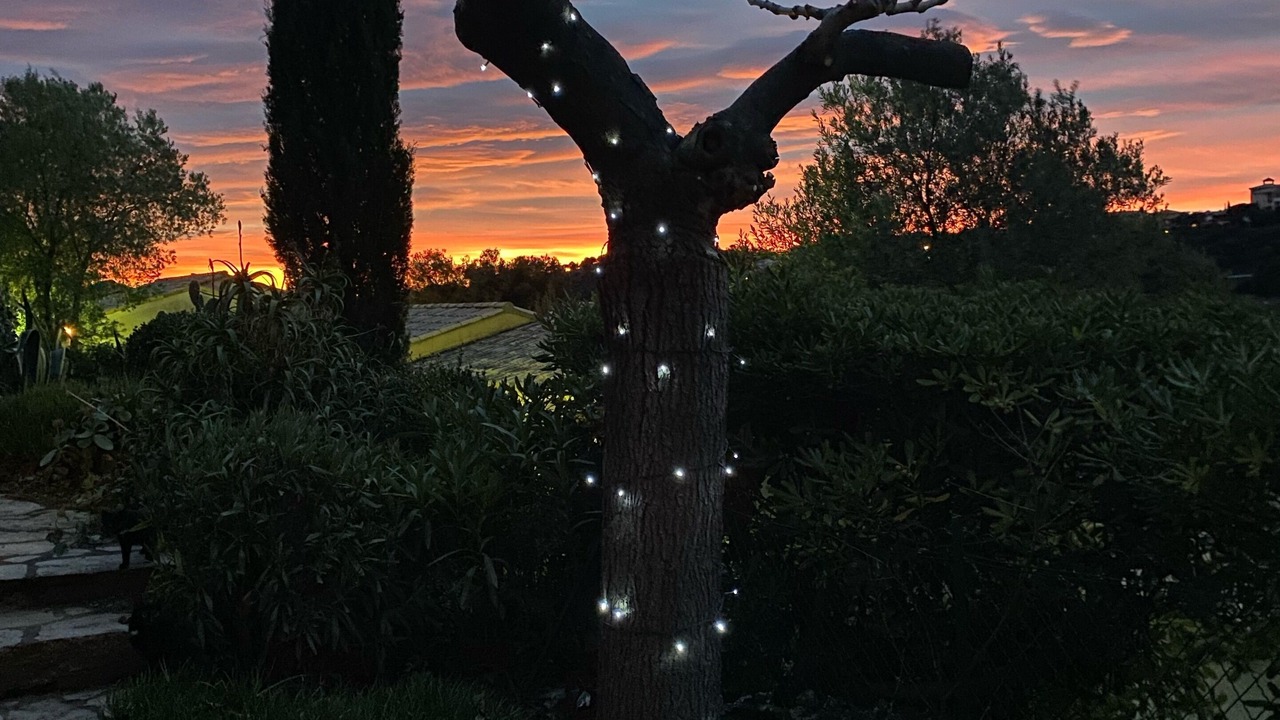 Photo of Outdoor in Les Issambres