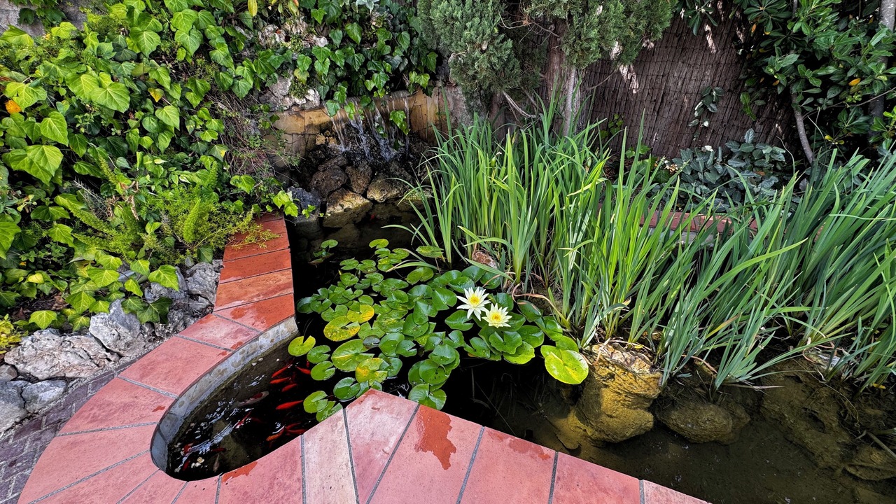 Photo of Outdoor in Espero-Pax