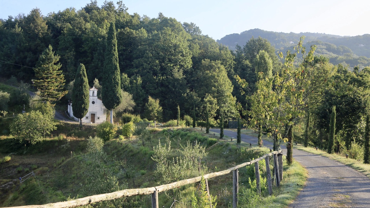Photo of Others in Licciana Nardi