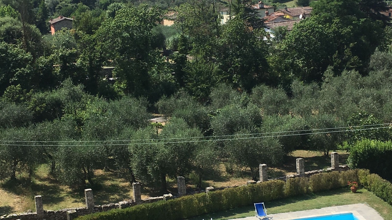 Photo of Outdoor in Vorno