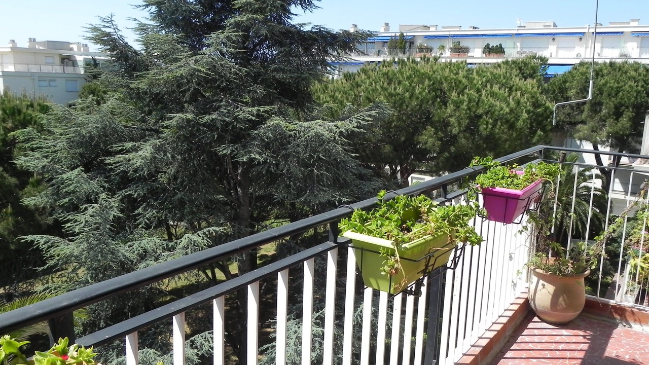 Photo of Outdoor in La Madeleine