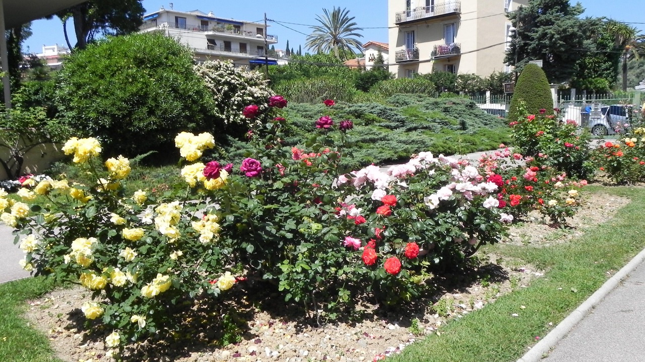 Photo of Outdoor in La Madeleine