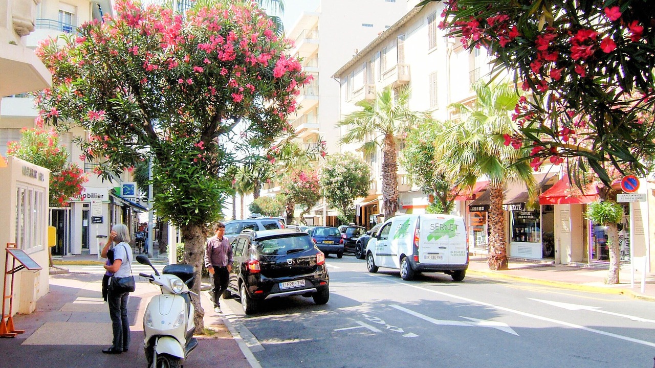 Photo of Others in Juan-les-Pins