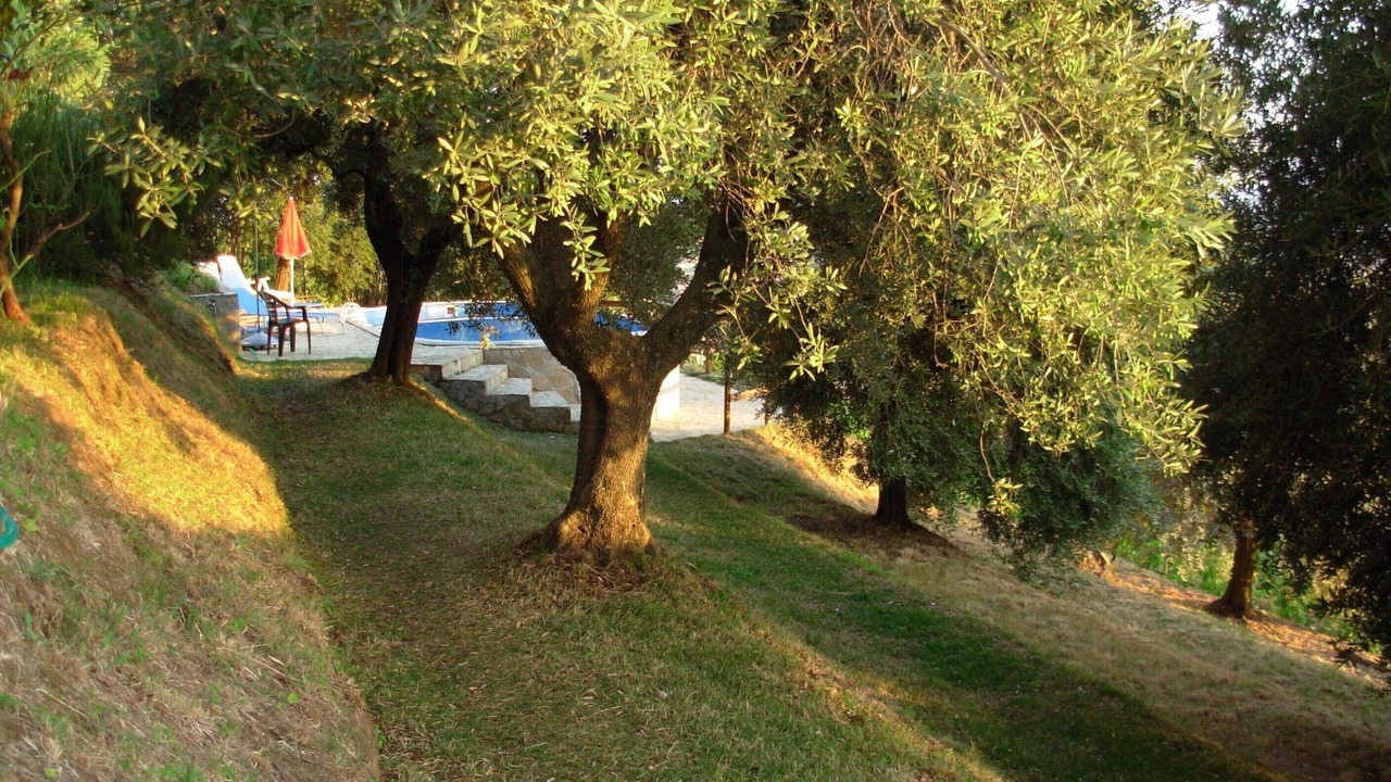 Photo of Outdoor in Ripa-Pozzi-Ponterosso