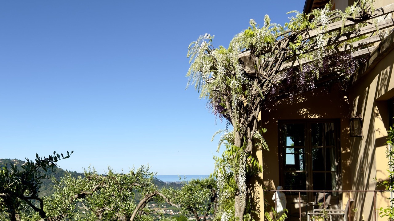Photo of Outdoor in Camaiore