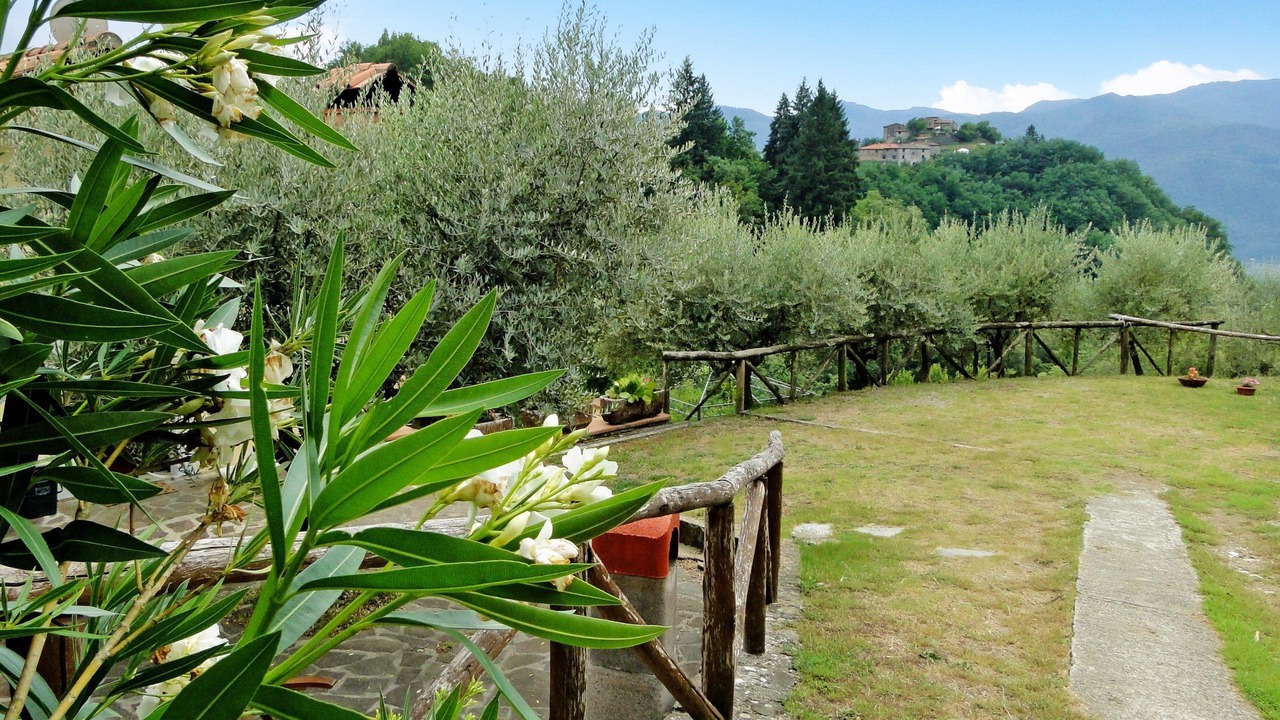 Photo of Outdoor in Coreglia Antelminelli
