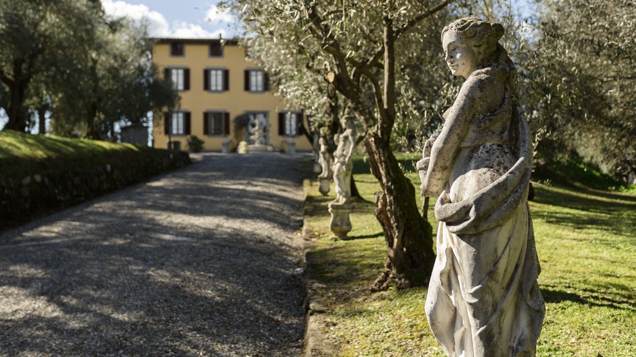 Photo of Outdoor in Vicopelago