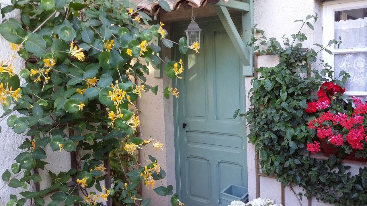 Photo of Others in Vence