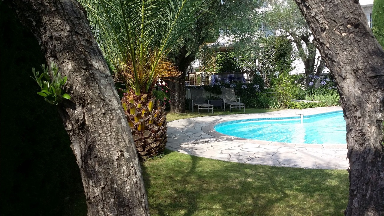 Photo of Others in Vence