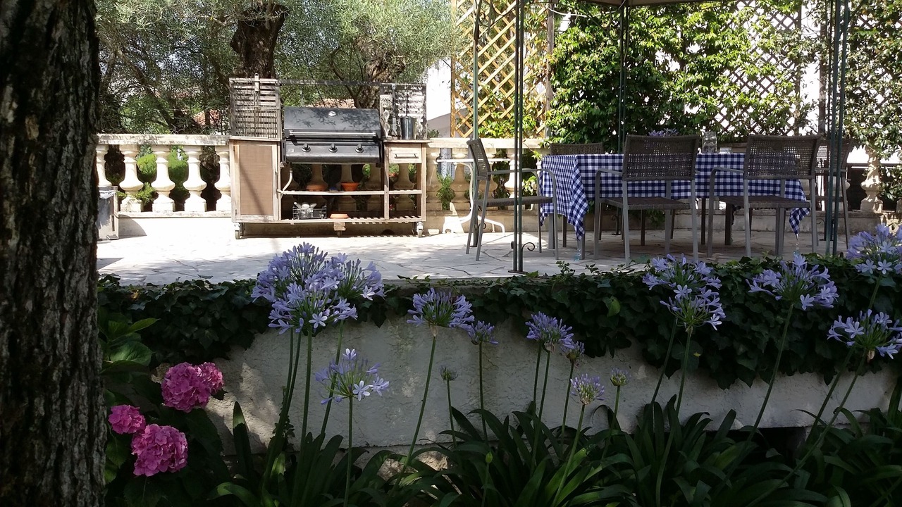 Photo of Others in Vence