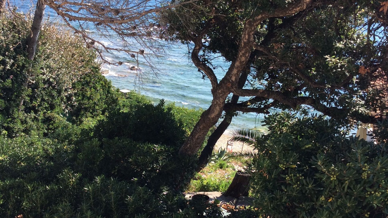 Photo of Outdoor in Saint-Aygulf