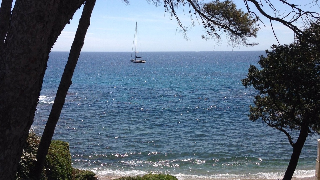 Photo of Outdoor in Saint-Aygulf