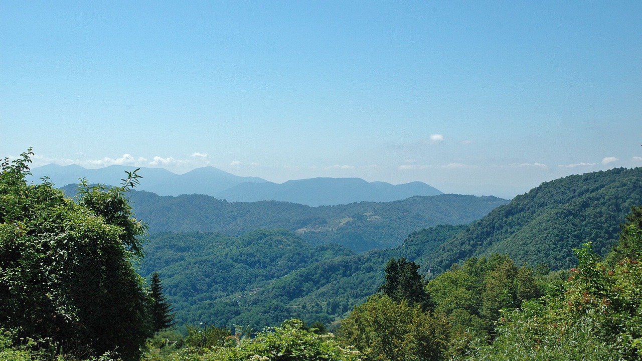 Photo of Others in Pescaglia