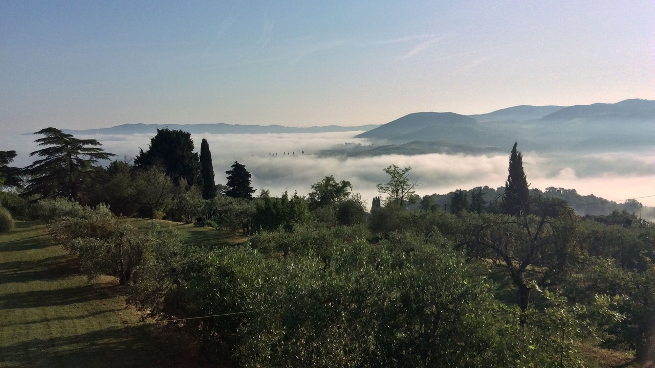 Photo of Others in Volterra