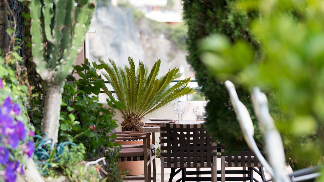 Photo of Outdoor in Mont Boron