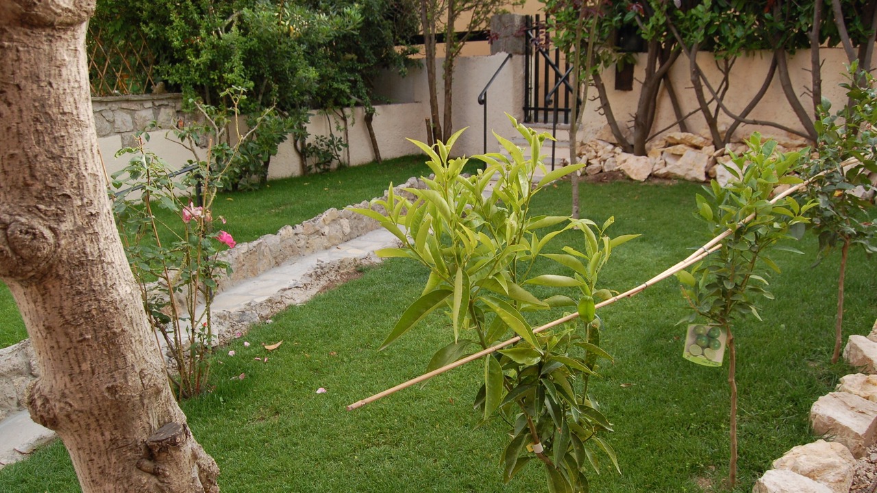 Photo of Outdoor in La Turbie
