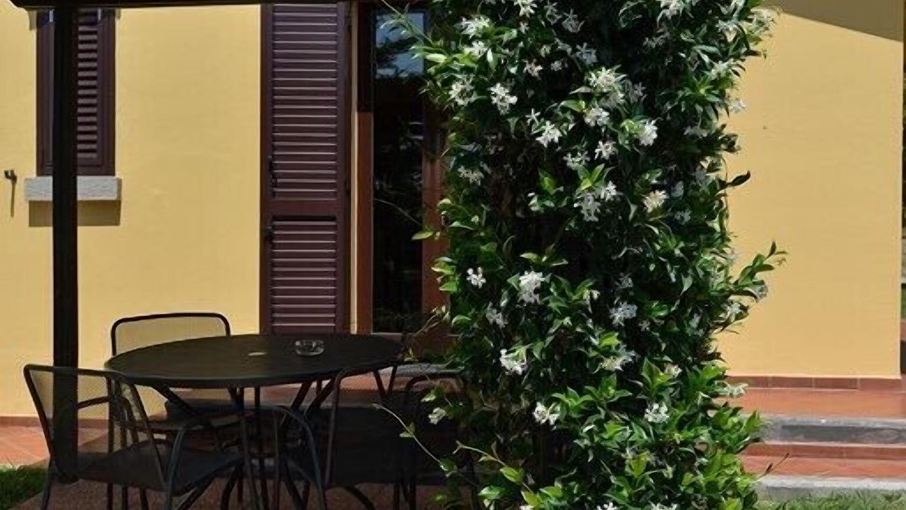 Photo of Outdoor in Casale Marittimo