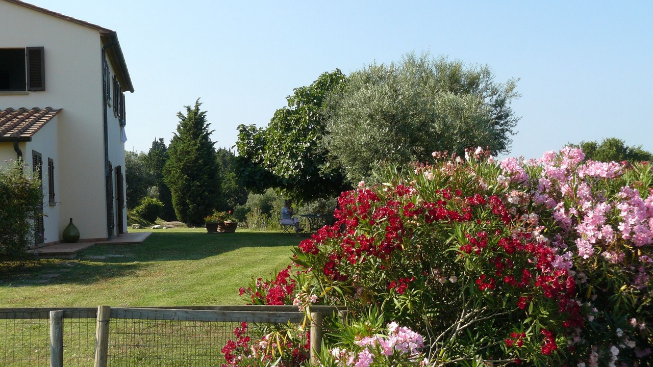 Photo of Outdoor in Castellina Marittima