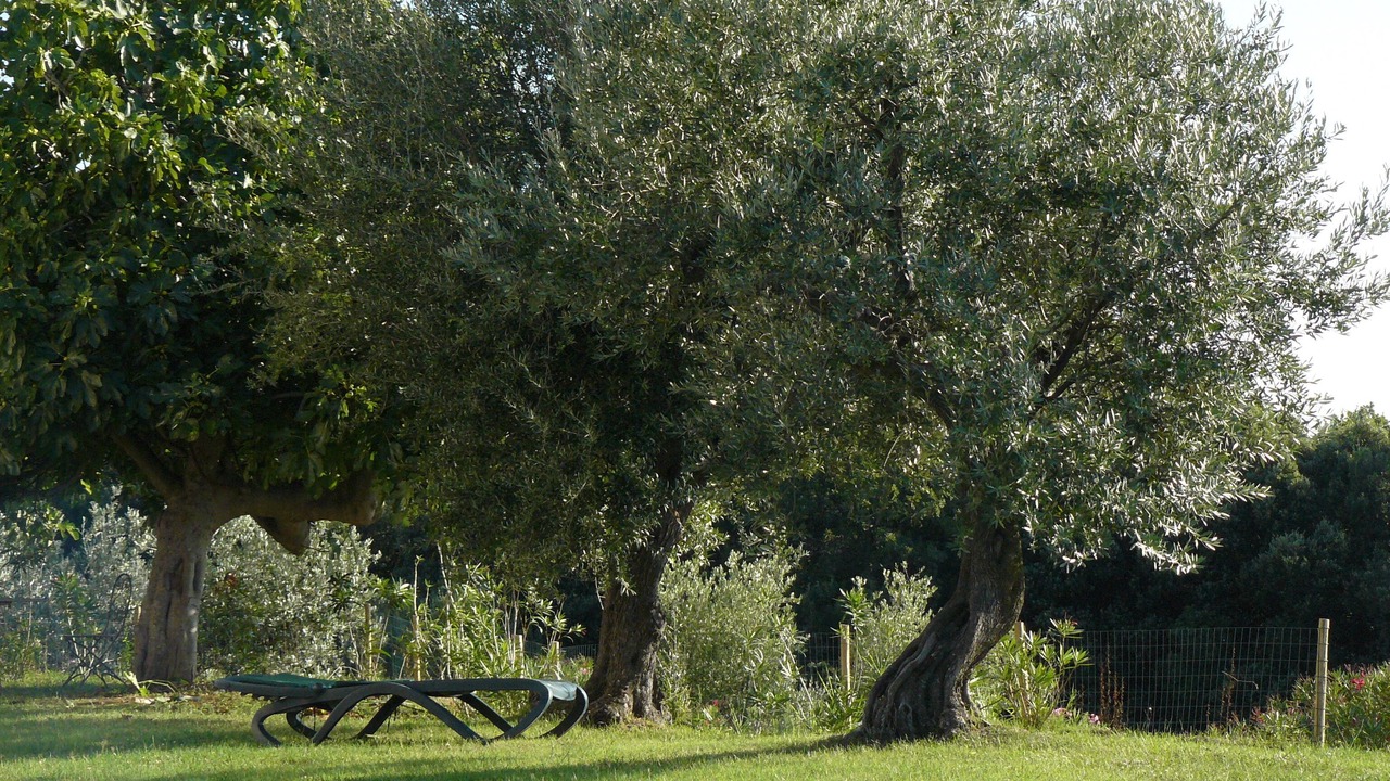 Photo of Outdoor in Castellina Marittima