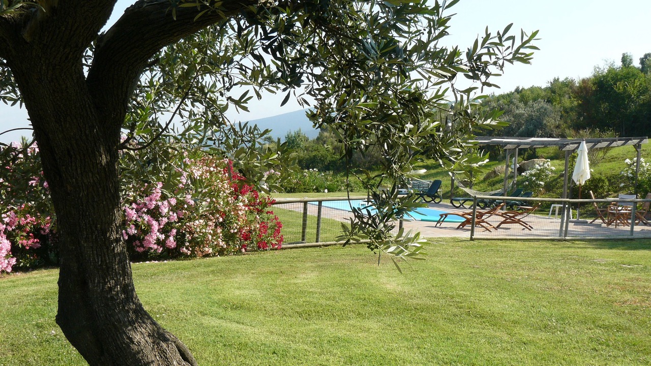 Photo of Outdoor in Castellina Marittima
