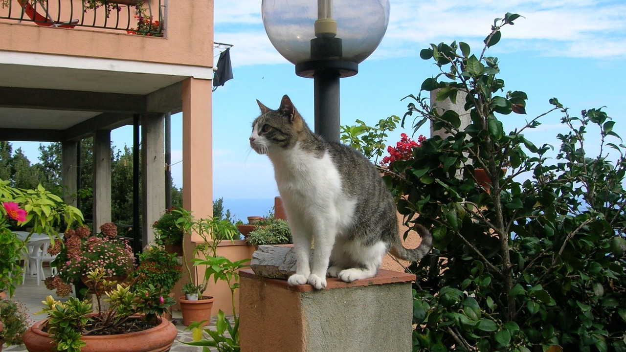 Photo of Outdoor in Marciana