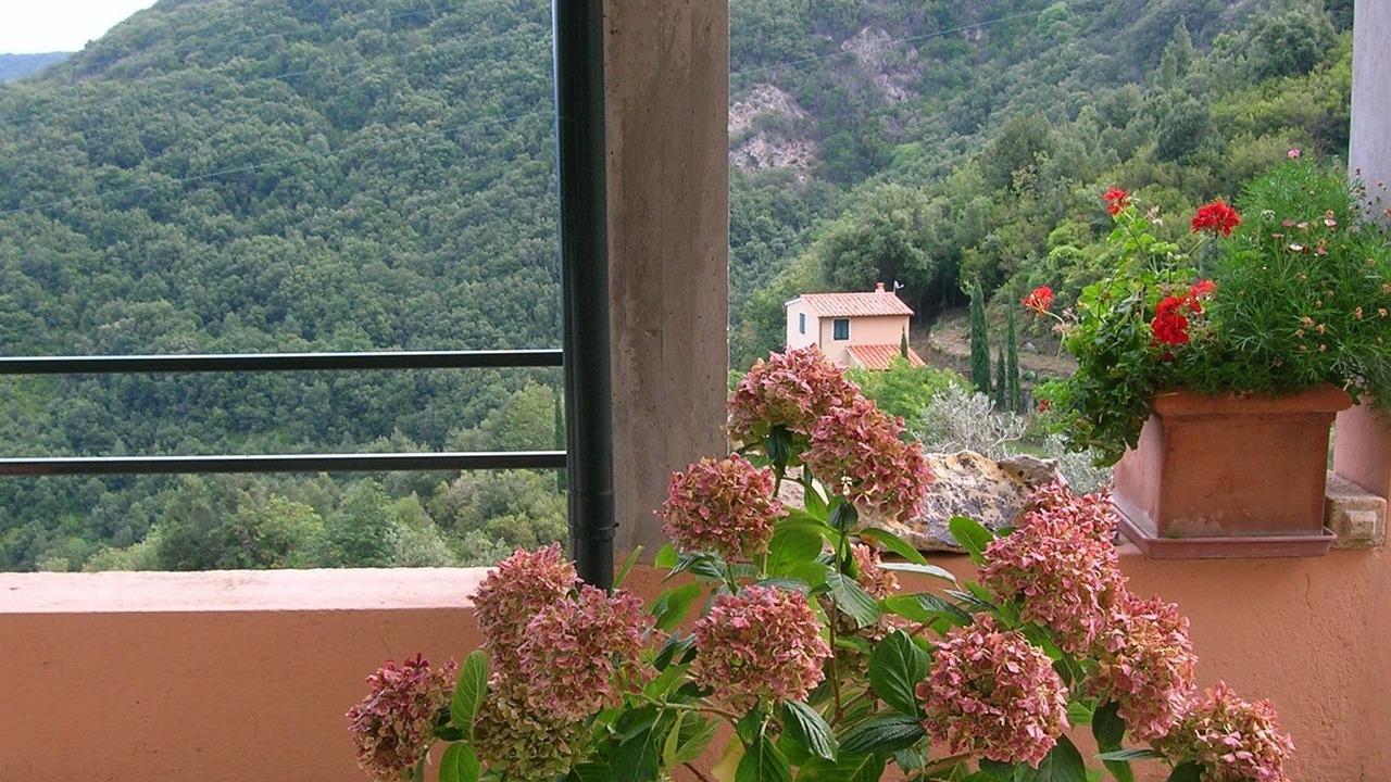 Photo of Outdoor in Marciana
