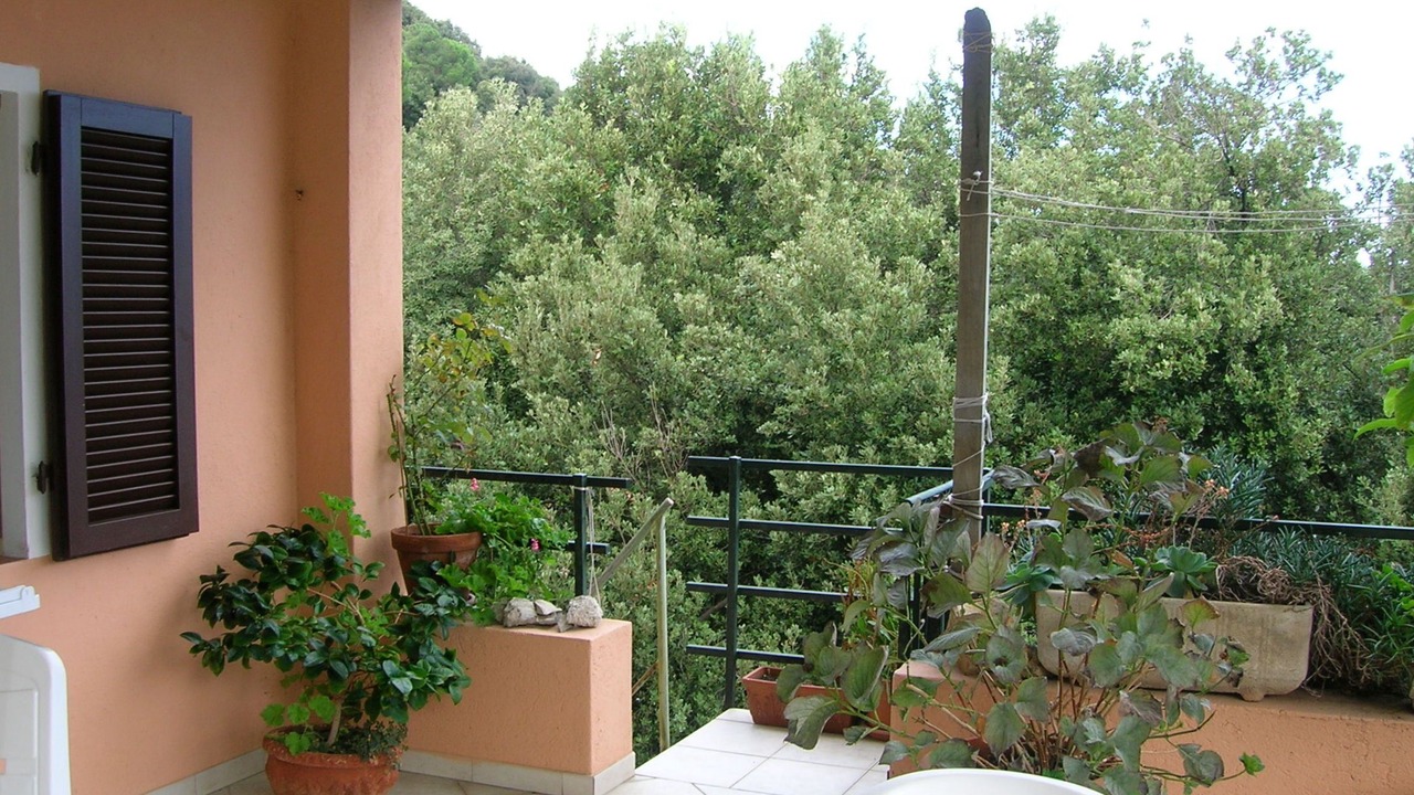 Photo of Outdoor in Marciana