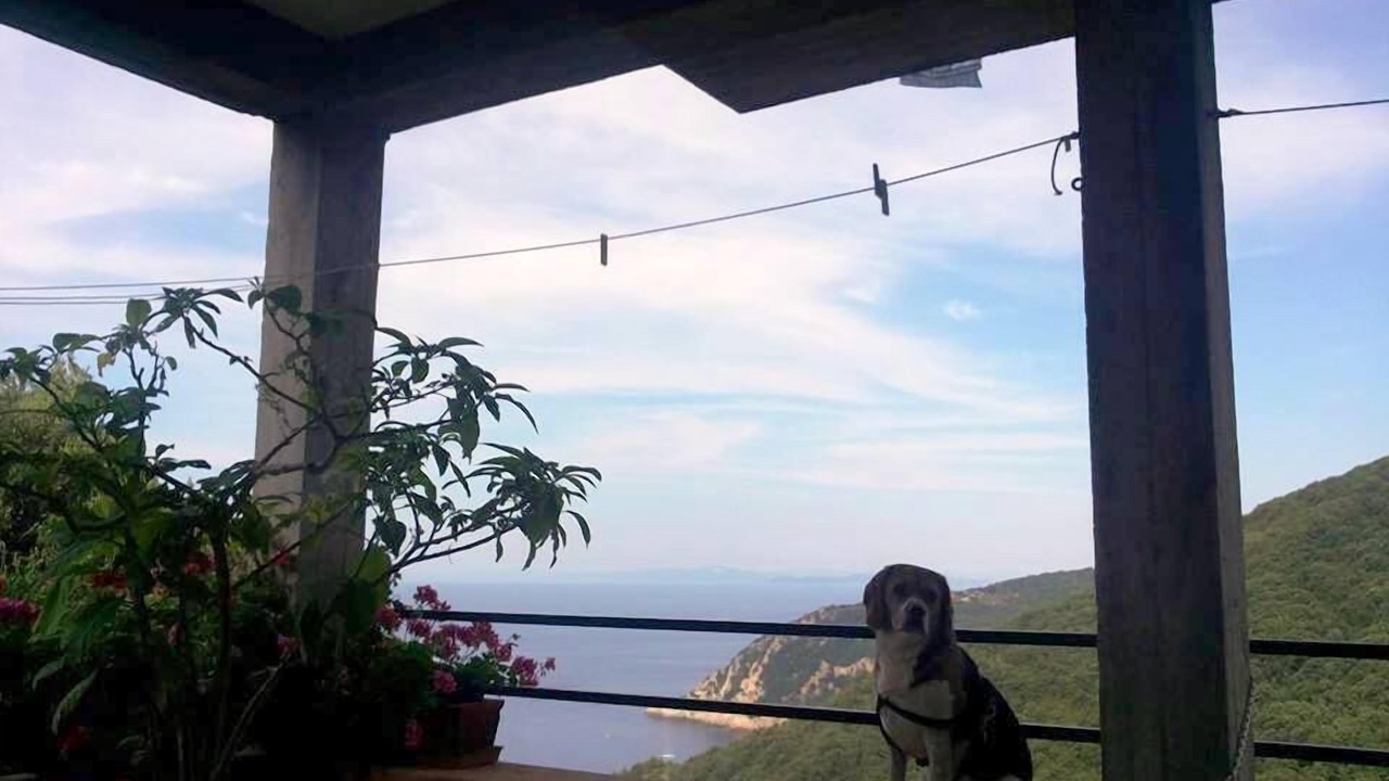 Photo of Outdoor in Marciana