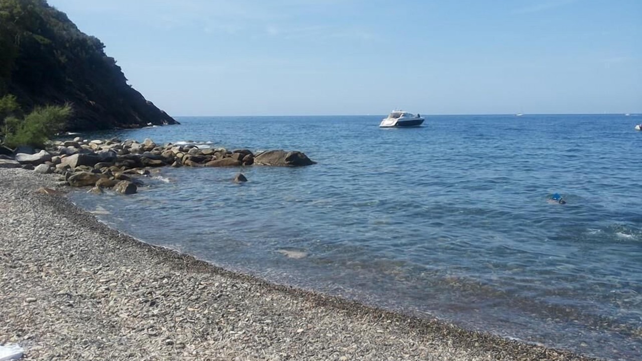 Photo of Others in Marciana